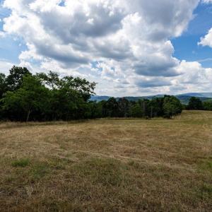 Photo #36 of 22590 CRIDERS RD, CRIDERS, VA 212.4 acres