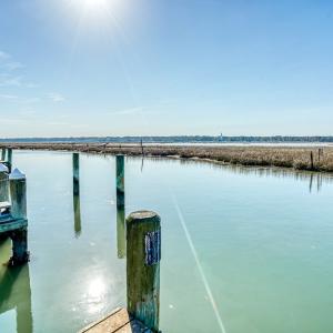 Photo #8 of Lot 48 PINEY ISLAND RD, CHINCOTEAGUE, VA 0.1 acres