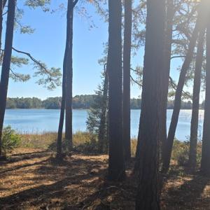 Photo #2 of Lot 1B MADISON LANE, MACHIPONGO, VA 7.5 acres