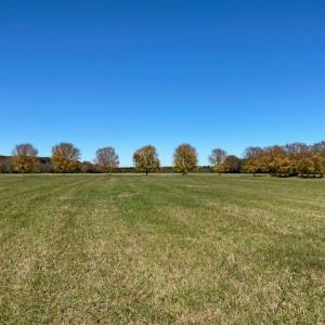 Photo #5 of Lot 1B MADISON LANE, MACHIPONGO, VA 7.5 acres