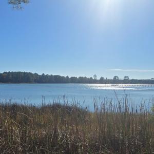 Photo #6 of Lot 1B MADISON LANE, MACHIPONGO, VA 7.5 acres