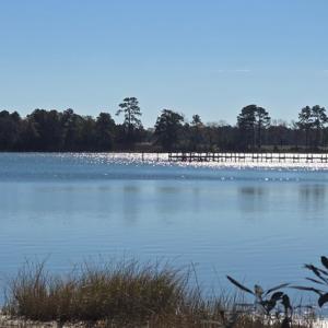 Photo #7 of Lot 1B MADISON LANE, MACHIPONGO, VA 7.5 acres