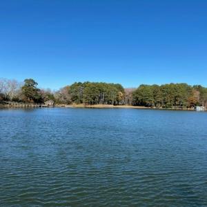 Photo #8 of Lot 1B MADISON LANE, MACHIPONGO, VA 7.5 acres