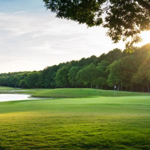 Photo #11 of 117 WILLIAM SCOTT LN, CAPE CHARLES, VA 0.1 acres