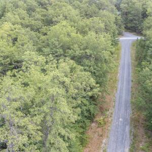 Photo #10 of TBD BIRDS NEST RD, HINTON, VA 3.1 acres