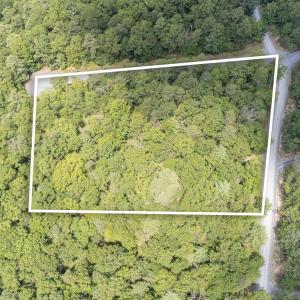 Photo #5 of TBD BIRDS NEST RD, HINTON, VA 3.1 acres