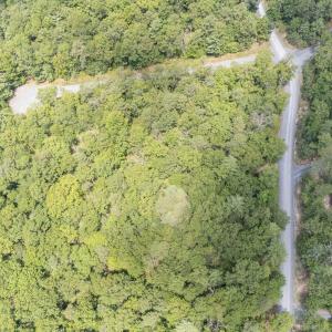 Photo #4 of TBD BIRDS NEST RD, HINTON, VA 3.1 acres