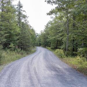 Photo #16 of TBD BIRDS NEST RD, HINTON, VA 3.1 acres