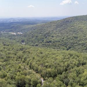 Photo #2 of TBD BIRDS NEST RD, HINTON, VA 3.1 acres