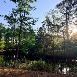 Back of Homesite view