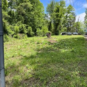 Photo #3 of ALBEMARLE AVE, WAYNESBORO, VA 0.3 acres