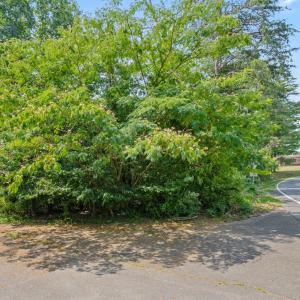 Photo #8 of Lot PREDDY CREEK RD, BARBOURSVILLE, VA 0.5 acres