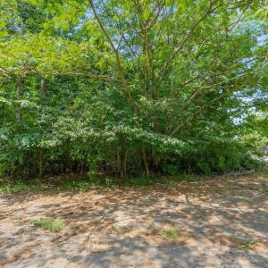 Photo #6 of Lot PREDDY CREEK RD, BARBOURSVILLE, VA 0.5 acres