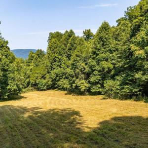 Photo #10 of 2476 ENNIS MOUNTAIN RD, AFTON, VA 114.8 acres