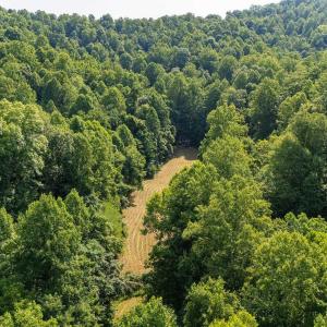 Photo #35 of 2476 ENNIS MOUNTAIN RD, AFTON, VA 114.8 acres