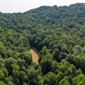 Photo #3 of 2476 ENNIS MOUNTAIN RD, AFTON, VA 114.8 acres