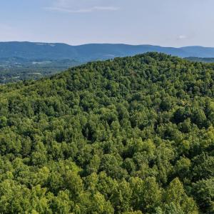 Photo #32 of 2476 ENNIS MOUNTAIN RD, AFTON, VA 114.8 acres