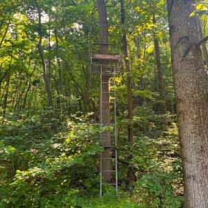 Photo #8 of 2476 ENNIS MOUNTAIN RD, AFTON, VA 114.8 acres