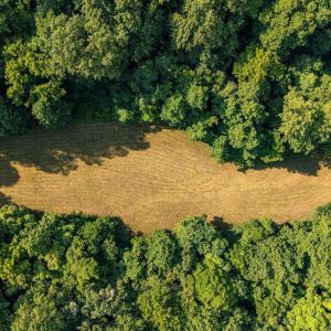 Photo #29 of 2476 ENNIS MOUNTAIN RD, AFTON, VA 114.8 acres