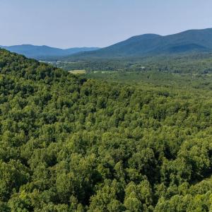 Photo #15 of 2476 ENNIS MOUNTAIN RD, AFTON, VA 114.8 acres