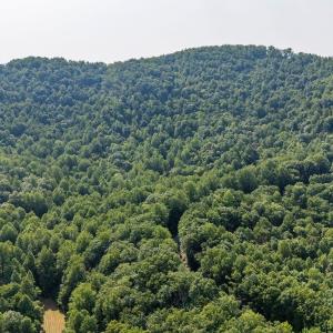 Photo #24 of 2476 ENNIS MOUNTAIN RD, AFTON, VA 114.8 acres
