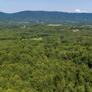 Photo #57 of 2476 ENNIS MOUNTAIN RD, AFTON, VA 114.8 acres