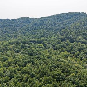 Photo #25 of 2476 ENNIS MOUNTAIN RD, AFTON, VA 114.8 acres