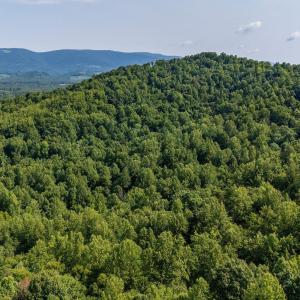 Photo #54 of 2476 ENNIS MOUNTAIN RD, AFTON, VA 114.8 acres