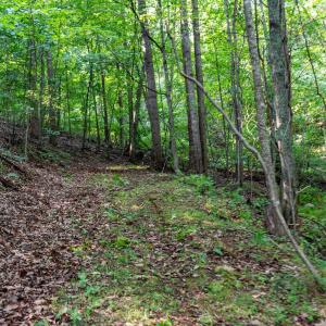 Photo #36 of 2476 ENNIS MOUNTAIN RD, AFTON, VA 114.8 acres