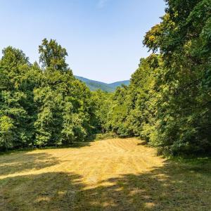 Photo #56 of 2476 ENNIS MOUNTAIN RD, AFTON, VA 114.8 acres