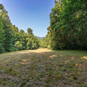 Photo #46 of 2476 ENNIS MOUNTAIN RD, AFTON, VA 114.8 acres