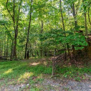Photo #52 of 2476 ENNIS MOUNTAIN RD, AFTON, VA 114.8 acres