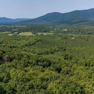Photo #19 of 2476 ENNIS MOUNTAIN RD, AFTON, VA 114.8 acres