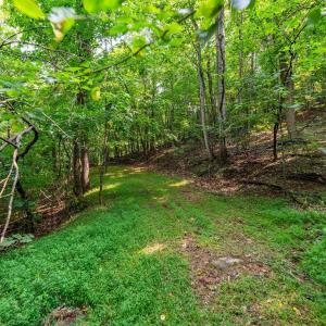 Photo #50 of 2476 ENNIS MOUNTAIN RD, AFTON, VA 114.8 acres