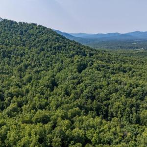 Photo #14 of 2476 ENNIS MOUNTAIN RD, AFTON, VA 114.8 acres