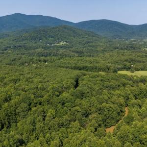 Photo #59 of 2476 ENNIS MOUNTAIN RD, AFTON, VA 114.8 acres