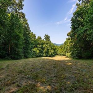Photo #5 of 2476 ENNIS MOUNTAIN RD, AFTON, VA 114.8 acres