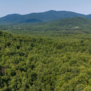 Photo #18 of 2476 ENNIS MOUNTAIN RD, AFTON, VA 114.8 acres