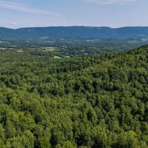 Photo #17 of 2476 ENNIS MOUNTAIN RD, AFTON, VA 114.8 acres