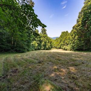 Photo #4 of 2476 ENNIS MOUNTAIN RD, AFTON, VA 114.8 acres