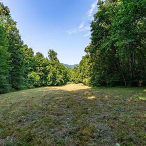 Photo #39 of 2476 ENNIS MOUNTAIN RD, AFTON, VA 114.8 acres