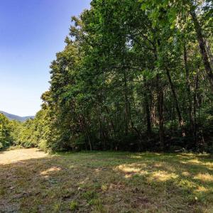 Photo #45 of 2476 ENNIS MOUNTAIN RD, AFTON, VA 114.8 acres