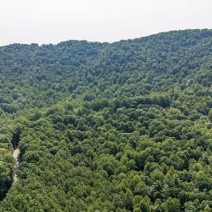 Photo #26 of 2476 ENNIS MOUNTAIN RD, AFTON, VA 114.8 acres