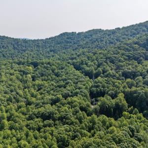 Photo #23 of 2476 ENNIS MOUNTAIN RD, AFTON, VA 114.8 acres