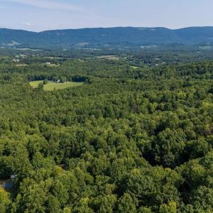 Photo #20 of 2476 ENNIS MOUNTAIN RD, AFTON, VA 114.8 acres