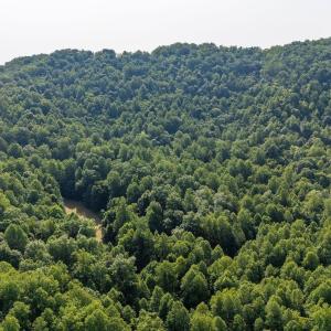Photo #11 of 2476 ENNIS MOUNTAIN RD, AFTON, VA 114.8 acres