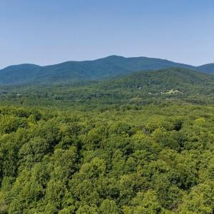 Photo #30 of 2476 ENNIS MOUNTAIN RD, AFTON, VA 114.8 acres