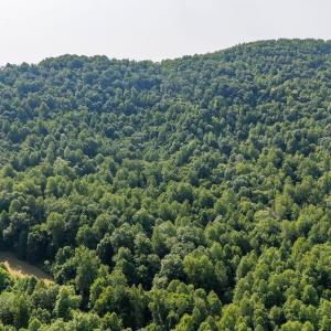 Photo #28 of 2476 ENNIS MOUNTAIN RD, AFTON, VA 114.8 acres
