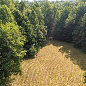 Photo #1 of 2476 ENNIS MOUNTAIN RD, AFTON, VA 114.8 acres