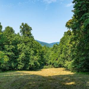 Photo #40 of 2476 ENNIS MOUNTAIN RD, AFTON, VA 114.8 acres